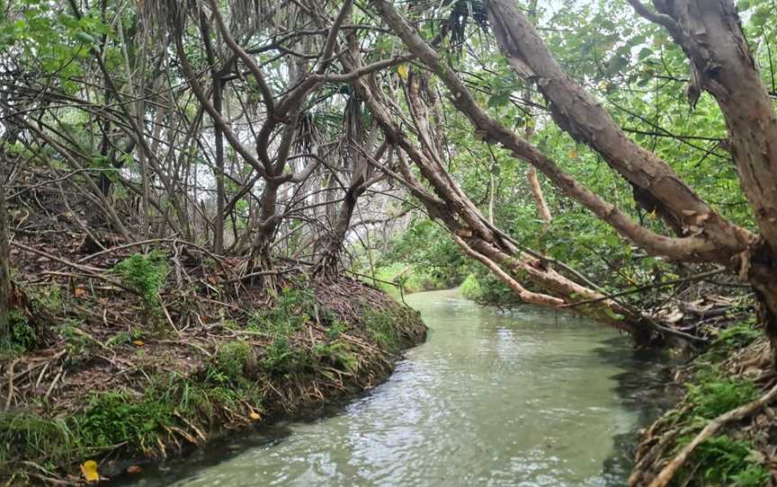 Eli Creek, Fraser Island, QLD