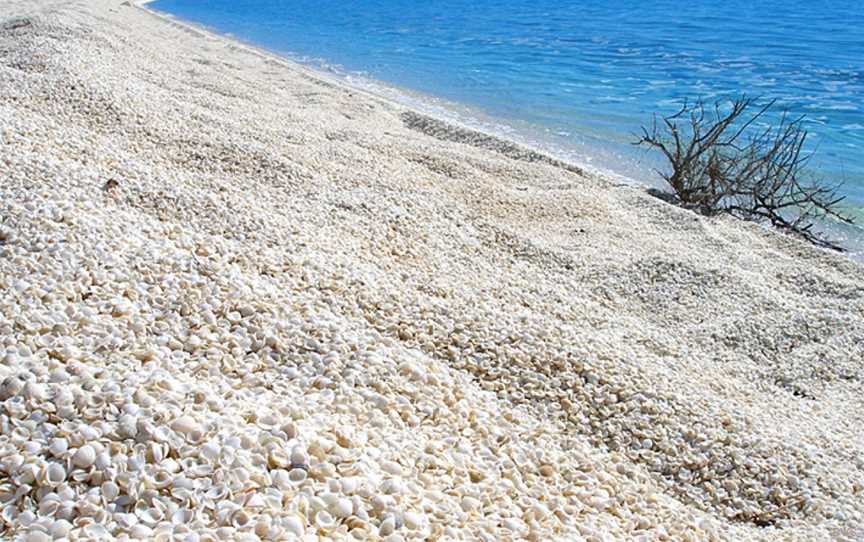 Shark Bay, Iluka, NSW