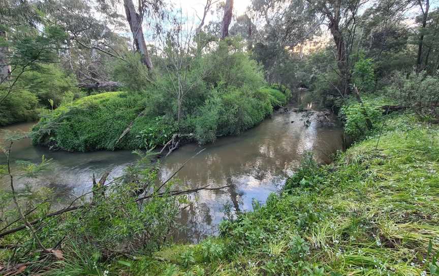 Shepherds Bush, Glen Waverley, VIC