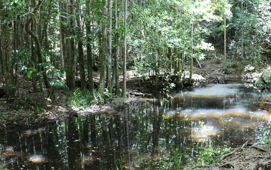 Sherwood Nature Reserve, Sherwood, NSW