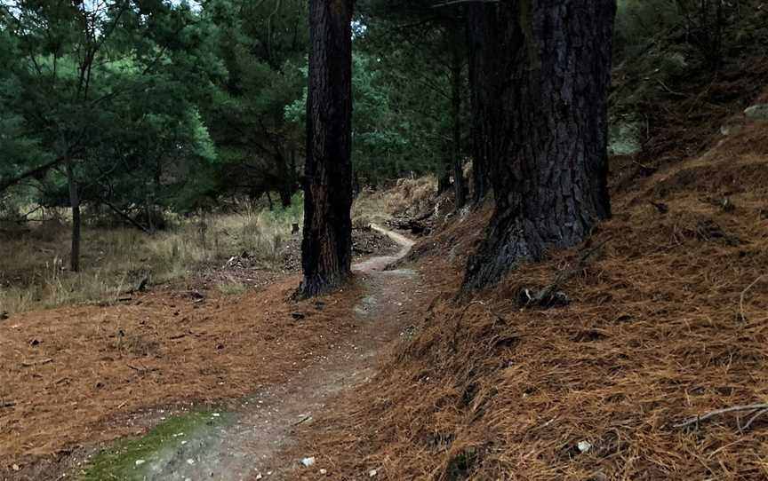 Black Hill Reserve and Mountain Bike Trails, Black Hill, VIC