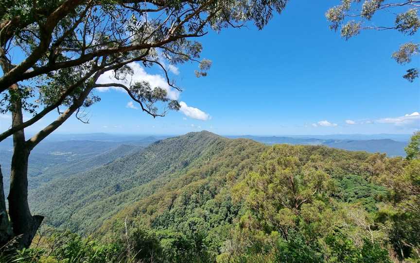 Dunggir National Park, South Arm, NSW