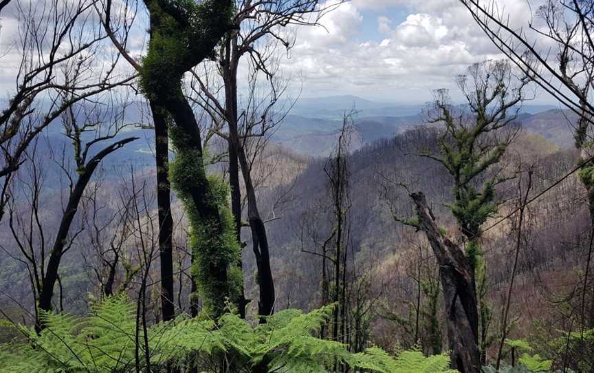 Dunggir National Park, South Arm, NSW