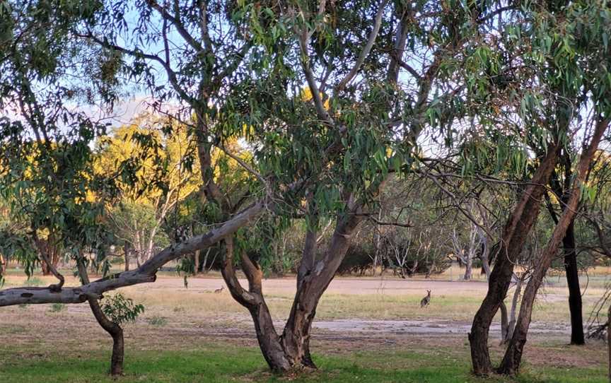 Woodlands Historic Park, Greenvale, VIC