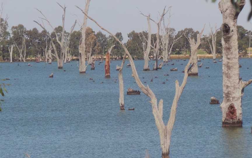 Kyffins Reserve Mulwala, Mulwala, NSW