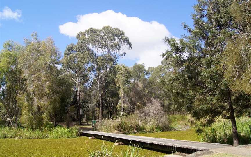 Baldwin Swamp Environmental Park, Bundaberg East, QLD