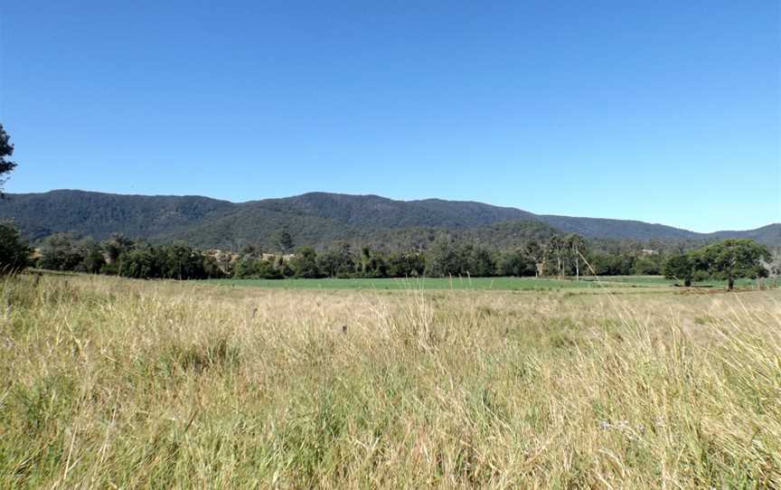 Bellthorpe National Park, Woodford, QLD