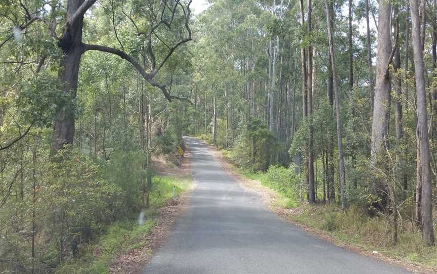 Bellthorpe National Park, Woodford, QLD