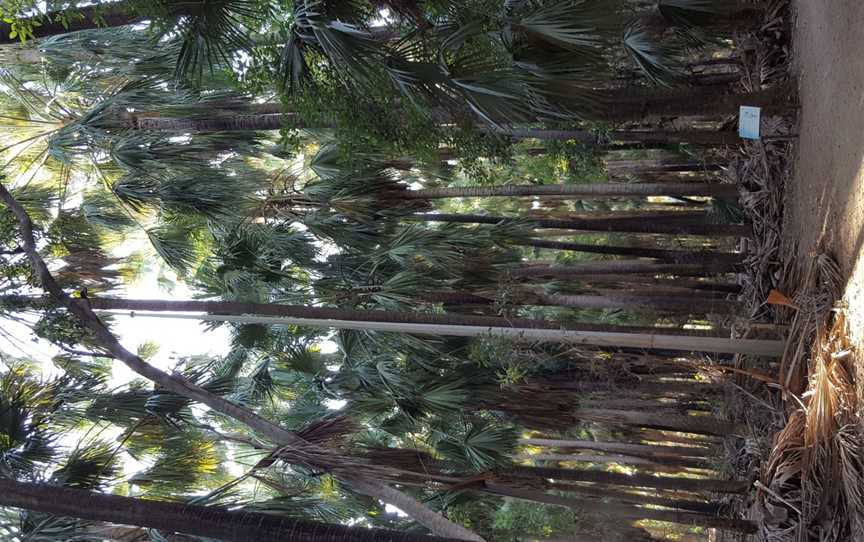 Elsey National Park, Mataranka, NT