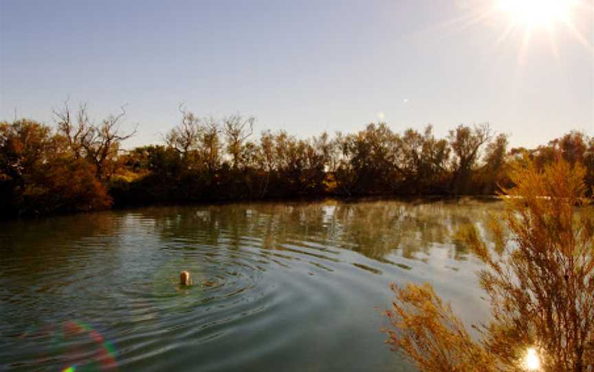 Witjira National Park, Oodnadatta, SA