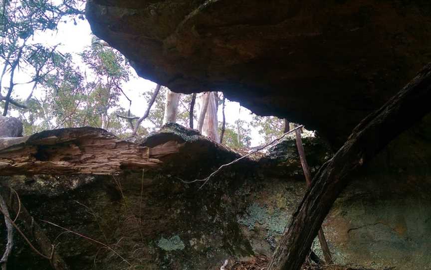 Sunny Corner State Forest, Sunny Corner, NSW