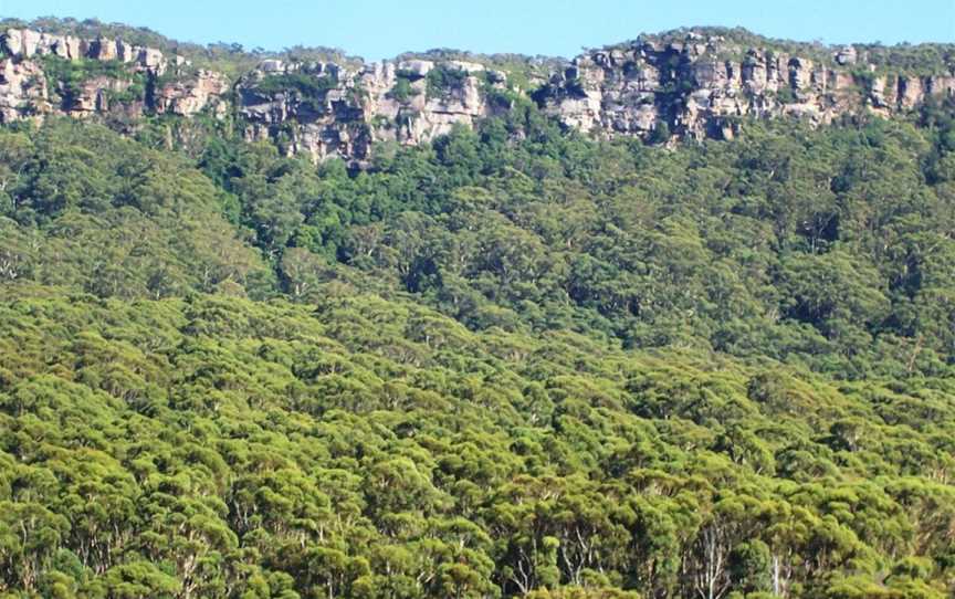 Illawarra Escarpment State Conservation Area, Tarrawanna, NSW