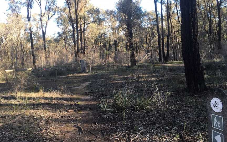 Springtime Flower Walking Track, Killawarra, VIC