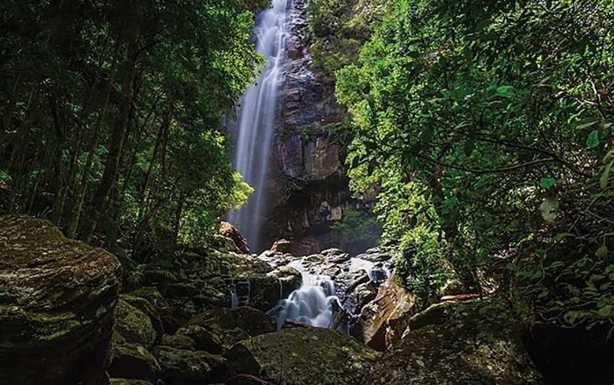 Protesters Falls Walking Track, Nightcap, NSW