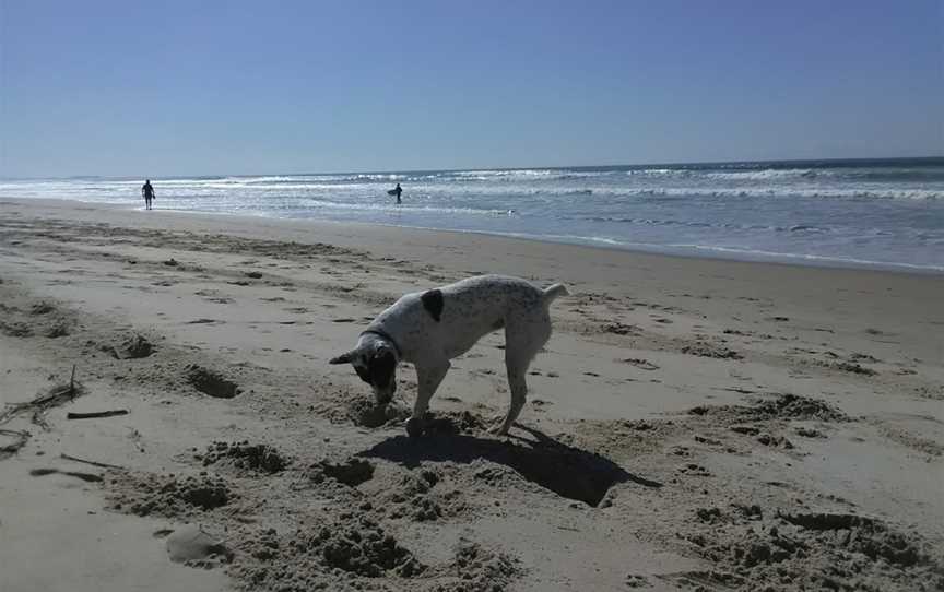 Airforce Beach, Evans Head, NSW