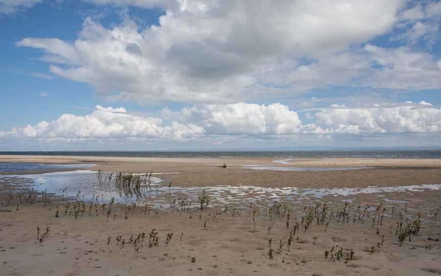 Buckley's Hole Conservation Park, Bongaree, QLD