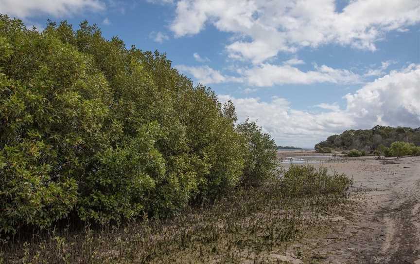 Buckley's Hole Conservation Park, Bongaree, QLD