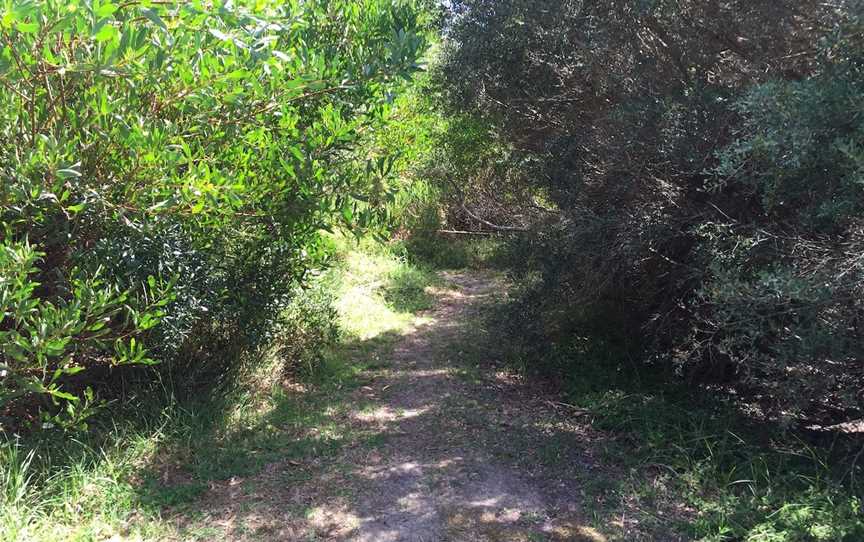 Bluff Track Fitness Trail, Whitemark, TAS