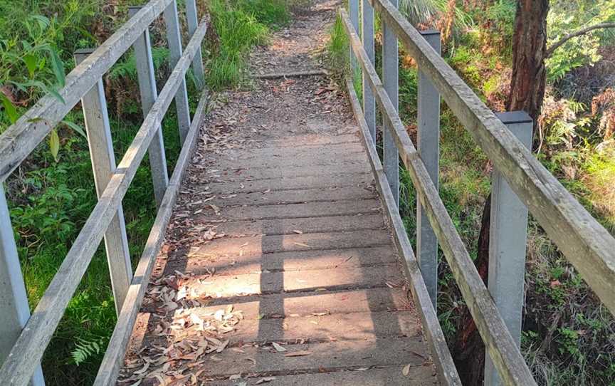 Awaba Bay Foreshore Walk, Bolton Point, NSW