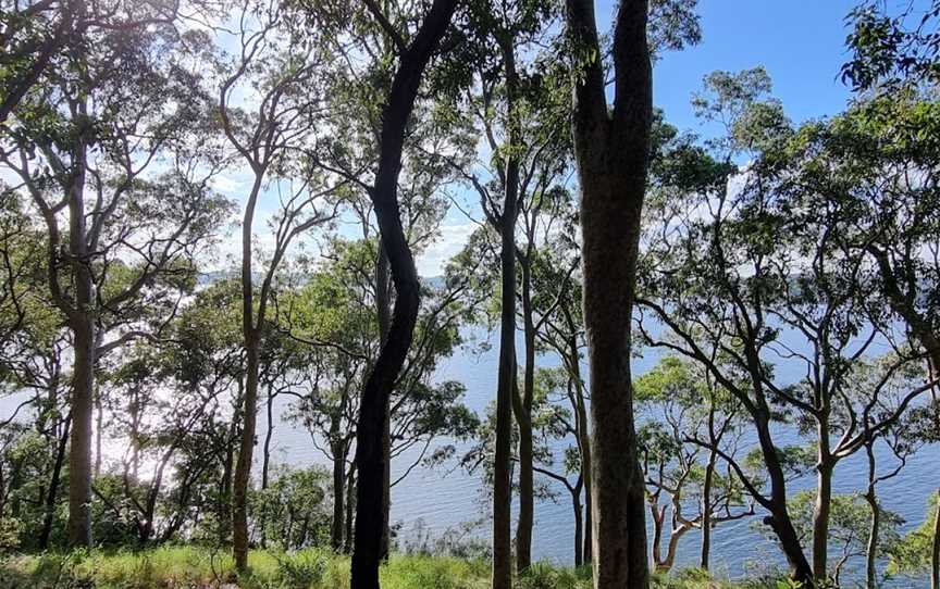 Awaba Bay Foreshore Walk, Bolton Point, NSW