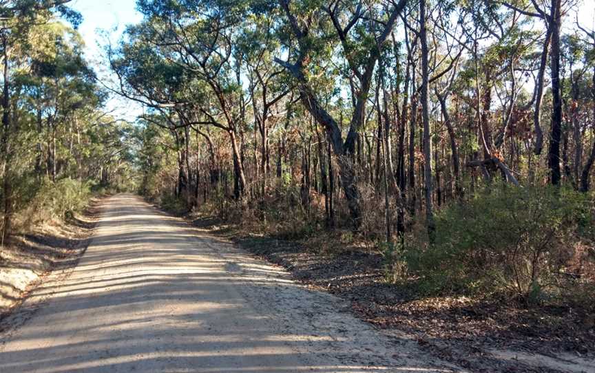 Bargo State Conservation Area, Wattle Ridge, NSW