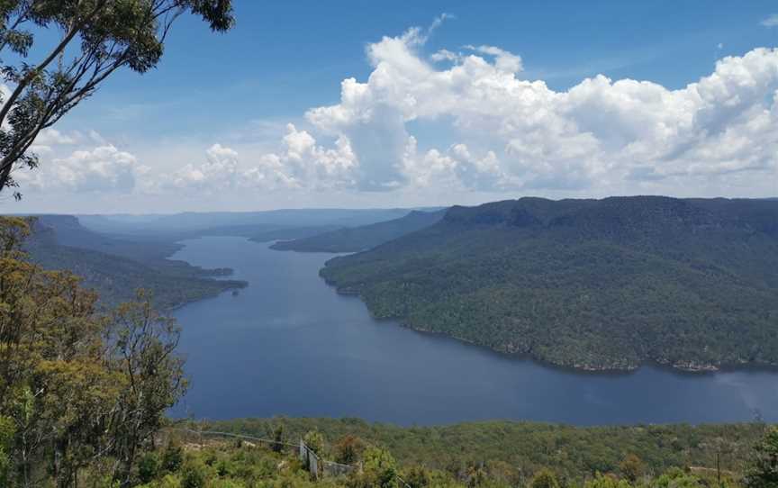 Bargo State Conservation Area, Wattle Ridge, NSW