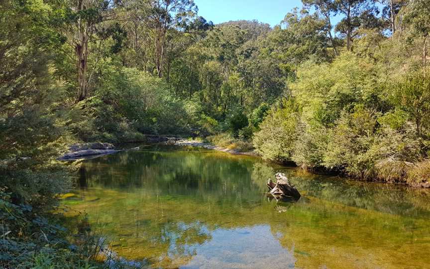 Baw Baw National Park, Erica, VIC