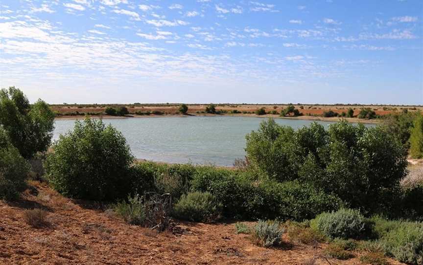 Caryapundy tank bird hide, Tibooburra, NSW