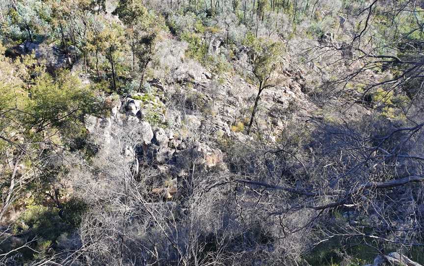 Crows Nest National Park, Crows Nest, QLD