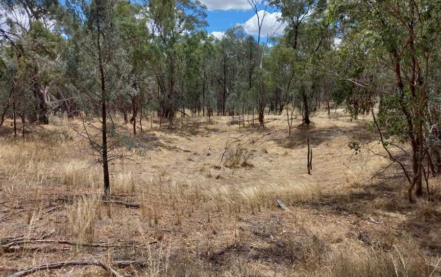 Redlands Hill Flora and Fauna Reserve, Redlands, NSW