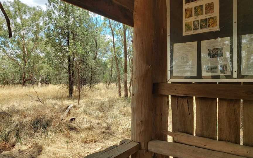 Redlands Hill Flora and Fauna Reserve, Redlands, NSW