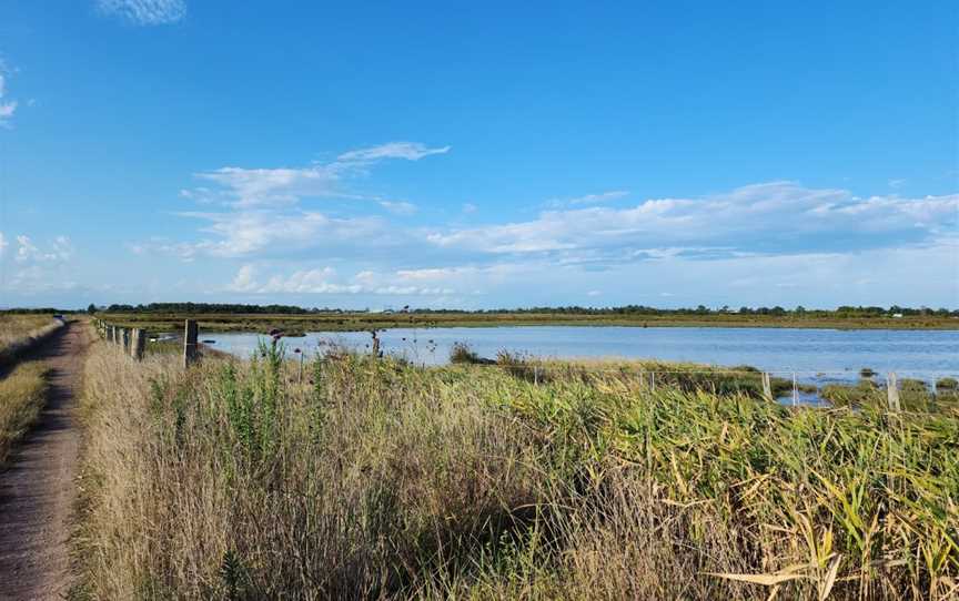 Hunter Wetlands National Park, Tomago, NSW