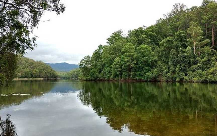 Toonumbar National Park, Toonumbar, NSW