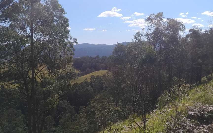 Tooloom National Park, Tooloom, NSW