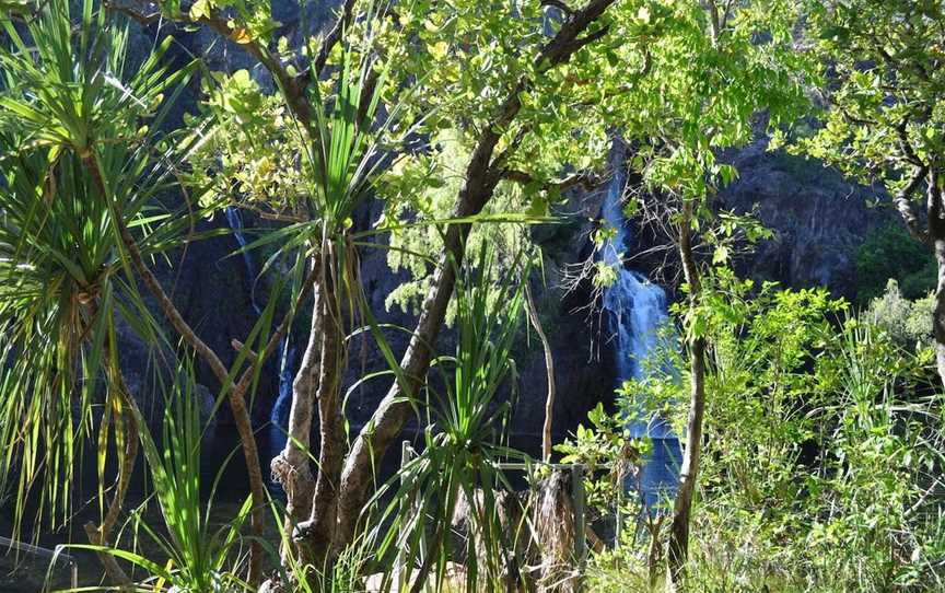 Manngarre Rainforest Walk, Jabiru, NT