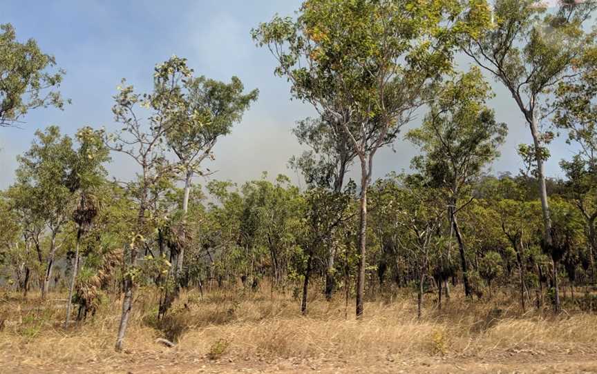 Mary River National Park, Marrakai, NT