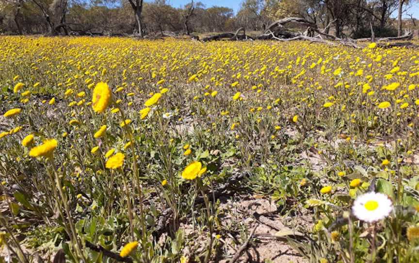 Coalseam Conservation Park, Mingenew, WA