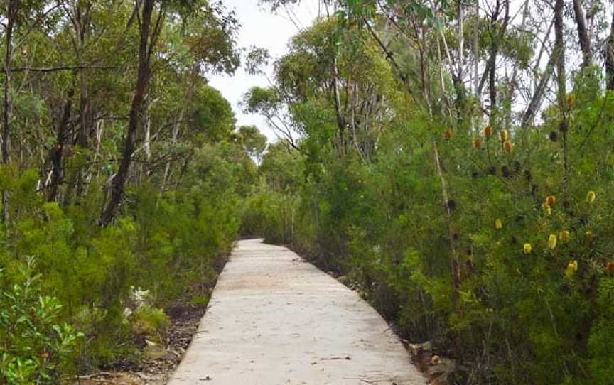 O’Hares Creek lookout walking track, Wedderburn, NSW