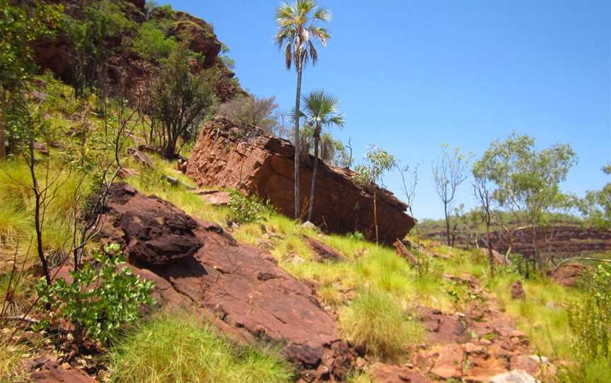 Judbarra / Gregory National Park, Timber Creek, NT