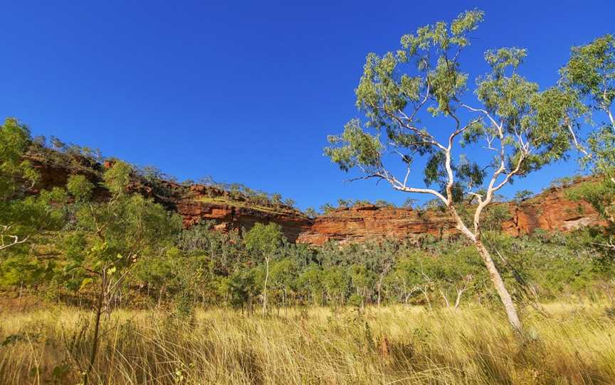 Judbarra / Gregory National Park, Timber Creek, NT