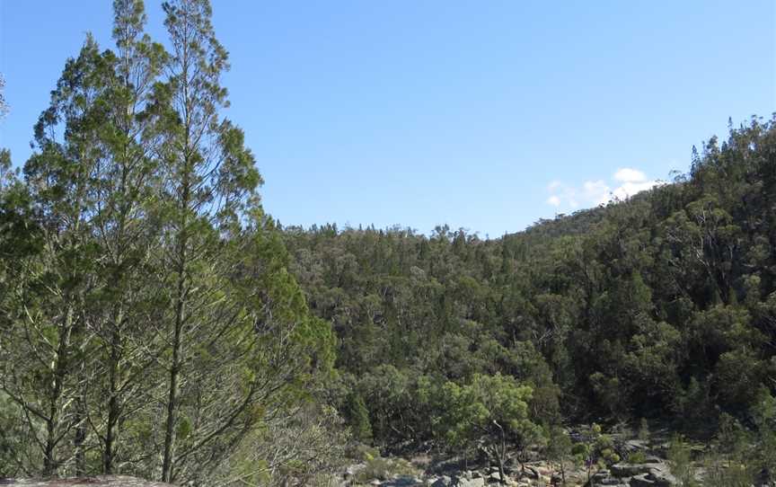 Warrabah National Park, Warrabah, NSW