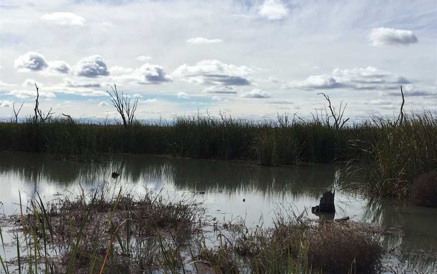 Gwydir Wetlands State Conservation Area Moree, Moree, NSW