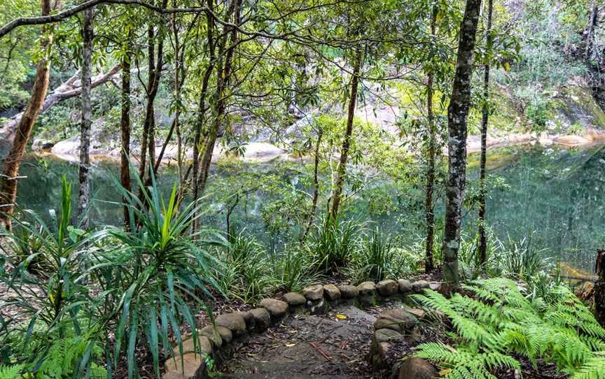 Mount Boss State Forest, Wauchope, NSW