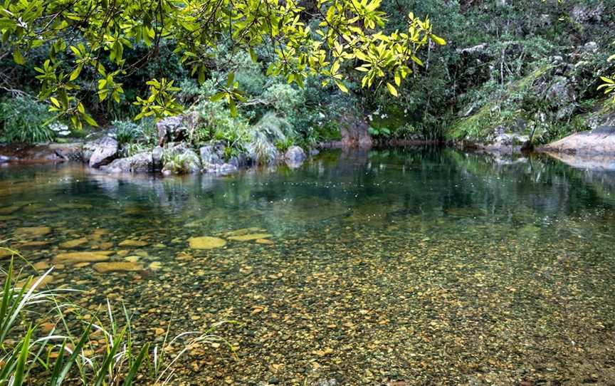 Mount Boss State Forest, Wauchope, NSW