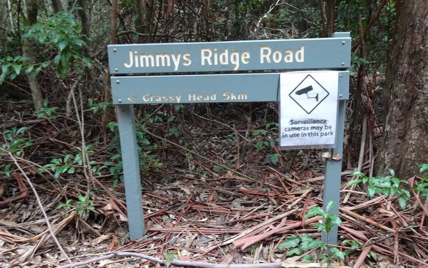 The Pines picnic area, Way Way, NSW