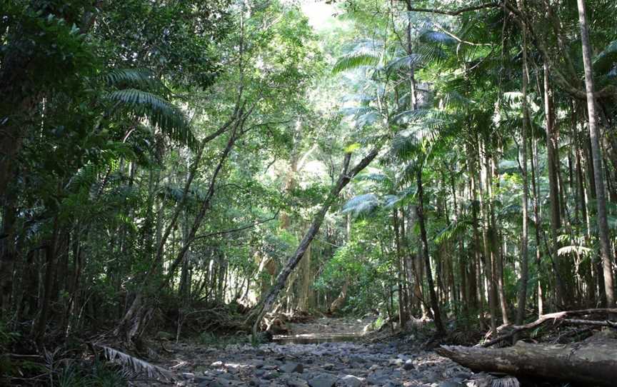 Yarriabini National Park, Way Way, NSW