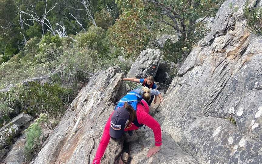 Wells Cave Track Loop, Taggerty, VIC