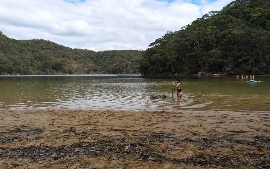 The Basin track and Mackerel track, Ku-Ring-Gai Chase, NSW