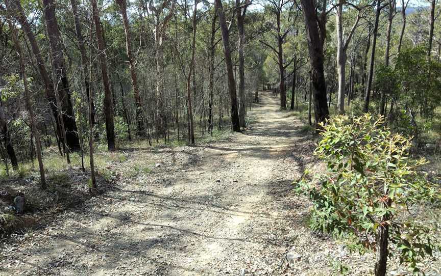 Venman Bushland National Park, Mount Cotton, QLD