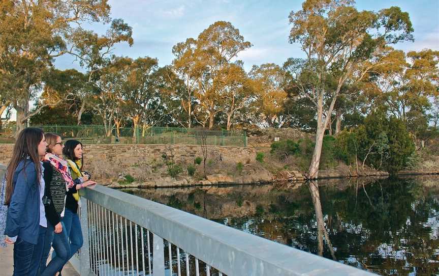 Barossa Reservoir Reserve, Williamstown, SA